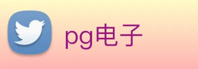 pg电子 logo
